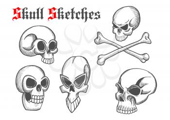 Halloween skulls sketch isolated icons. Artistic abstract shapes of cranium and crossbones for cartoon, label, tattoo, t-shirt print poster, decoration