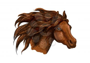 Horse head with wavy mane close-up portrait. Beautiful brown stallion running with wind in mane and shiny eyes