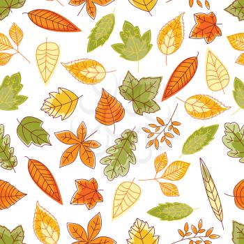 Leaves seamless background. Wallpaper of green, orange, red colorful foliage vector icons of oak, maple, birch, aspen, elm, poplar