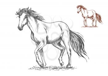 Running white horse pencil sketch portrait. Mustang with stamping hoofs gait and wavy tail on lawn