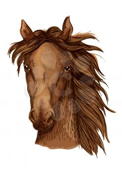 Beautiful brown horse artistic portrait. Bay mustang stallion with long wavy mane looking straight forward. Equestrian sport