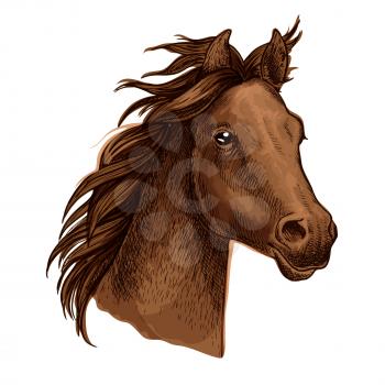 Horse artistic portrait. Beautiful brown mustang with long wavy mane and gazing shiny eyes