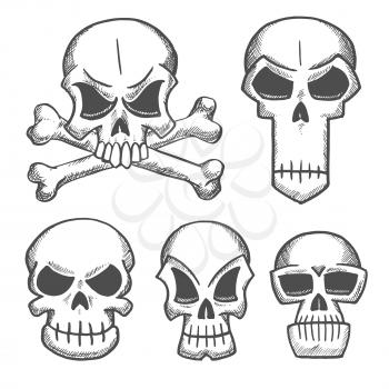 Skulls and craniums with crossbones icons. Vector pencil sketch emblems for cartoon, label, tattoo, halloween decoration