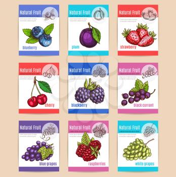 Natural fruits and berries with titles. Poster with vector sketch icons of blueberry, plum, strawberry, cherry, blackberry, blackcurrant, blue grapes, raspberries, white grapes