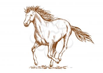 Brown horse sketch of running arabian mare horse. Equestrian sport, horse racing or t-shirt print design