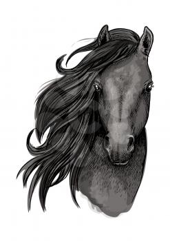 Black mare horse symbol of sketched racehorse head with long mane swept to one side. Equestrian sporting club, horse racing or t-shirt print design