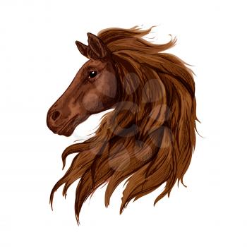 Sketch of brown horse head. Bay purebred stallion horse of arabian breed. Horse racing, equestrian eventing, riding club design