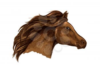 Sketched brown horse head icon of purebred racehorse with flying mane. Horse racing symbol or equestrian sporting theme design