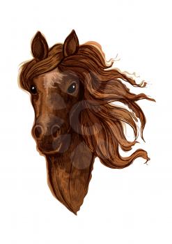 Sketch of brown arabian mare horse head with beige star mark in the middle of a forehead. Equestrian sporting competition, horse racing or t-shirt print design