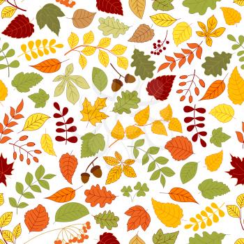 Autumn fallen leaves, branches of atumnal trees, acorns, rowanberry fruits and seeds of wild herbs seamless pattern on white background