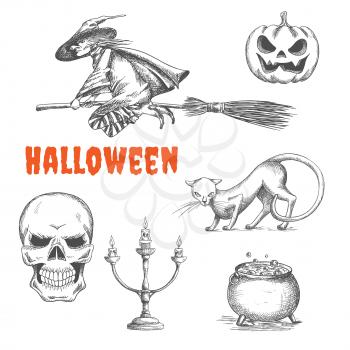 Halloween witch flying on broom, scary pumpkin with fire eyes, black cat, human skeleton skull, candlestick, cauldron with boiling magic potion. Halloween decoration symbols in pencil sketch