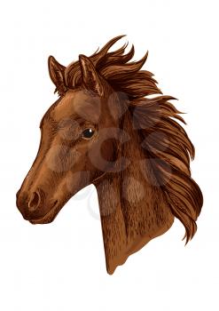 Brown mare horse head sketch with young chestnut filly of arabian breed. Equestrian sport, horse racing or horse breeding farm design