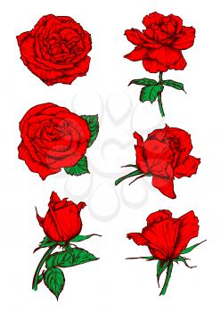 Red roses buds icons. Vector sketch botanical elements with stem and leaves. Scarlet rose flowers emblems for tattoo, icon, decoration