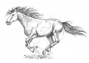 Running horse pencil sketch portrait. White mustang stallion rushing with gallop gait