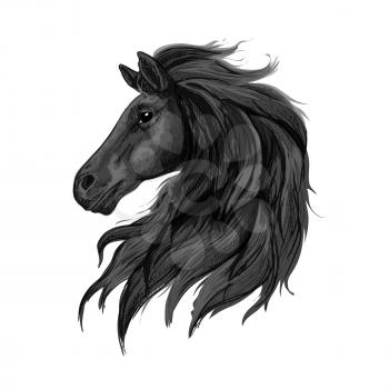 Black noble horse profile portrait. Raven stallion with long heavy wavy mane and thoughtful shiny eyes