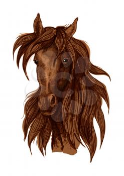 Brown horse artistic portrait. Mustang with long wavy flying mane looking straight forward