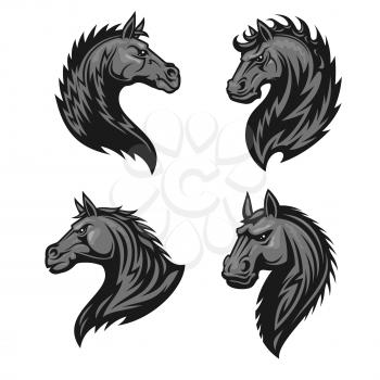 Raging stallion head heraldic icons set. Stylized furious horse vector heraldry emblems. Mustang shield symbol for sport club emblem, team badge, label and tattoo