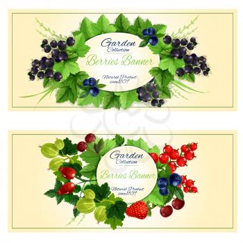 Berries banners with fresh strawberry, cherry, blueberry, black and red currant, gooseberry and briar fruits, branches and leaves arranged around a frame with copy space