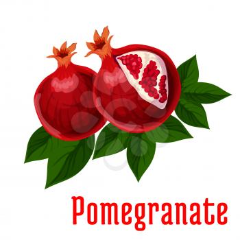 Ripe pomegranate fruits with leaves icon of open red pomegranate with sweet juicy seeds. Food and juice packaging, vegetarian dessert design
