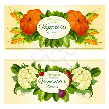 Vegetables and salad greens banners with broccoli, onion, corn, radish, chilli pepper, lettuce, pumpkin, cauliflower, spinach and watercress leaves placed around oval badge with copy space