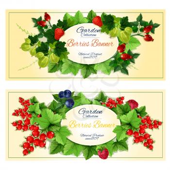 Healthy garden fruits and berries banners of strawberry, raspberry, blueberry, red currant, gooseberry and briar fruits on green leafy branches with oval badge for your text