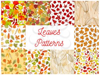 Autumn leaves seamless patterns with set of autumnal backgrounds with yellow and orange fallen leaves, tree branches, acorns and rowanberry fruits