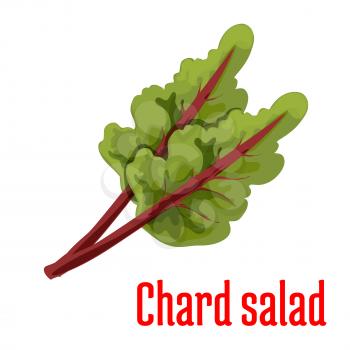 Chard salad plant icon. Isolated leafy vegetable green element. Vegetarian leaf salad product sign for sticker, grocery shop, farm store