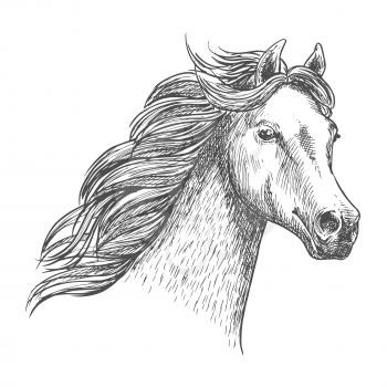 White graceful horse sketch portrait. Wild mustang with mane waving by wind, looking in far