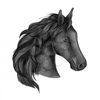 Black graceful horse portrait. Raven mustang with wavy mane strands and half turned head