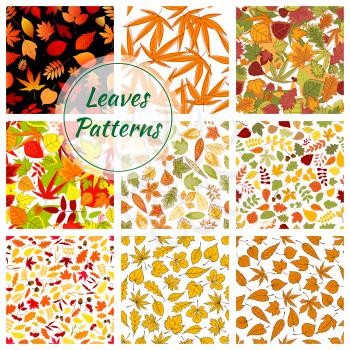 Autumn plants and trees leaves. Seamless patterns of bright and colorful foliage elements. Vector pattern of small and large birch, oak, maple, brown, elm leaf on white and black background