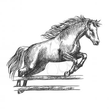 Strong horse runs and jumps over barrier. Trained mustang stallion on hippodrome sport horse races leaping over fence. Vector sketch
