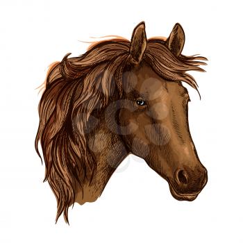Brown graceful horse portrait. Wild mustang with sad shiny eyes and wavy mane