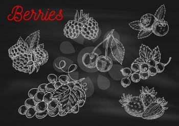Berries chalk sketch icons on blackboard background. Vector chalked berry strawberry, blackberry, blueberry, cherry, raspberry, black currant, grape with leaves for cafe, restaurant menu board