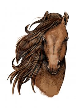 Brown horse artistic portrait. Beautiful mustang with long mane waving aside and looking straight forward
