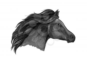 Black graceful horse portrait. Dark raven mustang with wavy mane strands running against wind with waving mane and shining eyes
