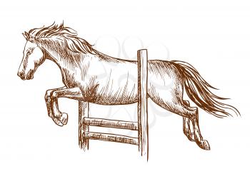 Wild horse runs and jumps over barrier. White stallion leaping over fence. Vector thin line sketch