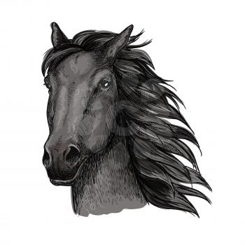 Black proud horse portrait. Dark raven mustang with wavy mane strands runs against wind with waving mane and shining eyes