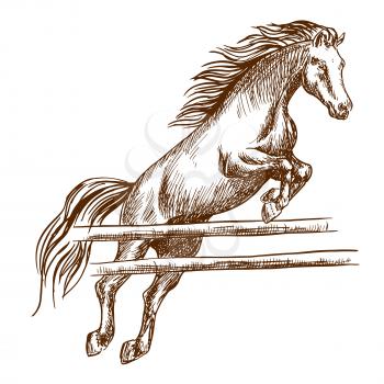 Wild horse jumping high and leaping over wooden barrier. Brown stallion overcoming fence. Vector thin line sketch