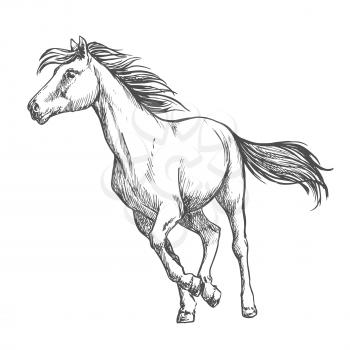 White horse running freely. Wild mustang stallion gallops against wind with waving mane and tail. Vector thin line sketch portrait