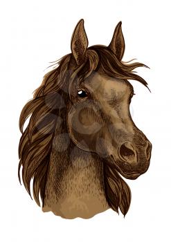 Brown horse artistic portrait. Beautiful mustang with long mane waving in wind and looking aside