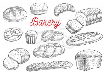 Bread sorts and bakery products. Rye bread, ciabatta, wheat bread, muffin and bun, bagel, sliced bread and french baguette, croissant and pretzel, biscuit. Vector sketch