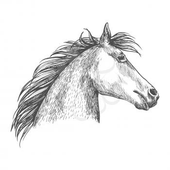 Horse portrait. Artistic vector sketch portrait. White horse profile with wavy mane