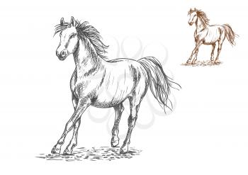 Running white and brown horses. Galloping mustang stallions rushing against wind, Vector pencil sketch portrait