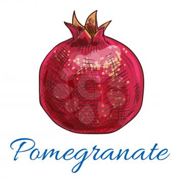 Pomegranate. Isolated fruit product emblem for juice or jam label, packaging sticker, grocery shop tag, farm store