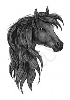 Sketch of black purebred horse. Head of black arabian racehorse with long wavy mane. Horse racing symbol, equestrian sport badge or t-shirt print design