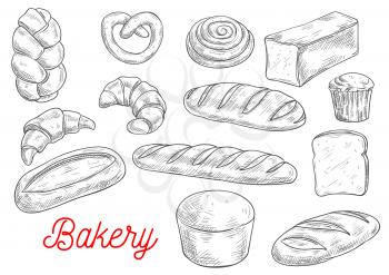 Sketched wheat bread, croissant, baguette, cupcake, cinnamon roll, toast, ciabatta, pretzel, braided bun, long loaf. Bakery and pastry shop, food packaging design