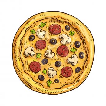 Italian pizza sketch with pepperoni sausage, black olive fruit, mushroom and basil. Pizzeria, italian cuisine restaurant, takeaway pizza box design