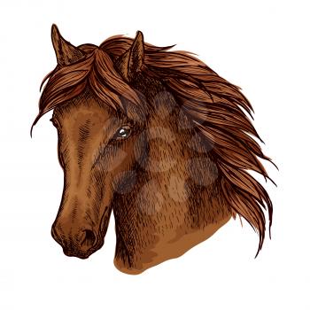Brown horse portrait. Graceful and noble mustang with proud look and beautiful eyes