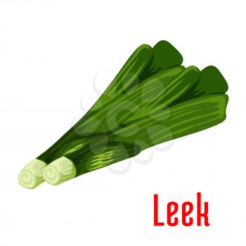 Leek vegetable plant icon. Bunch of leek stems. Fresh food product element for sticker, grocery shop, farm store element
