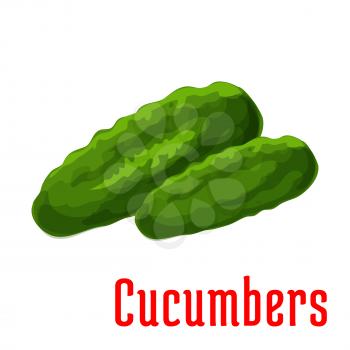 Cucumber vegetable icon. Vector isolated cucumbers. Fresh food product element for sticker, grocery shop, farm store element